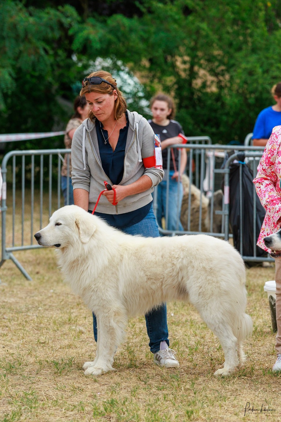 Salon de l'Agriculture 2026